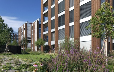 Neubau WÜB Steinhausen